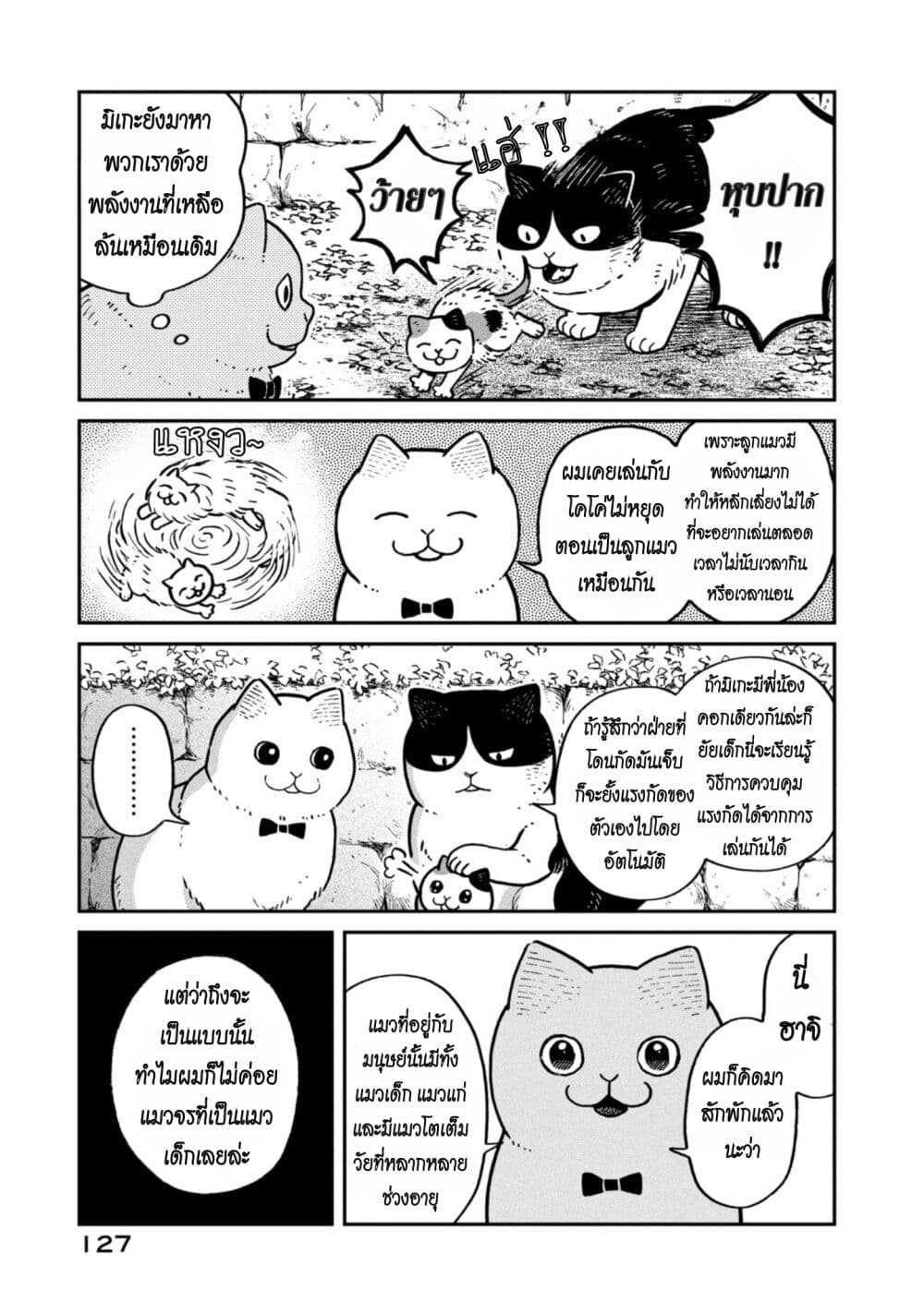 Tsureneko – Maruru to Hachi ตอนที่ 6 (3)