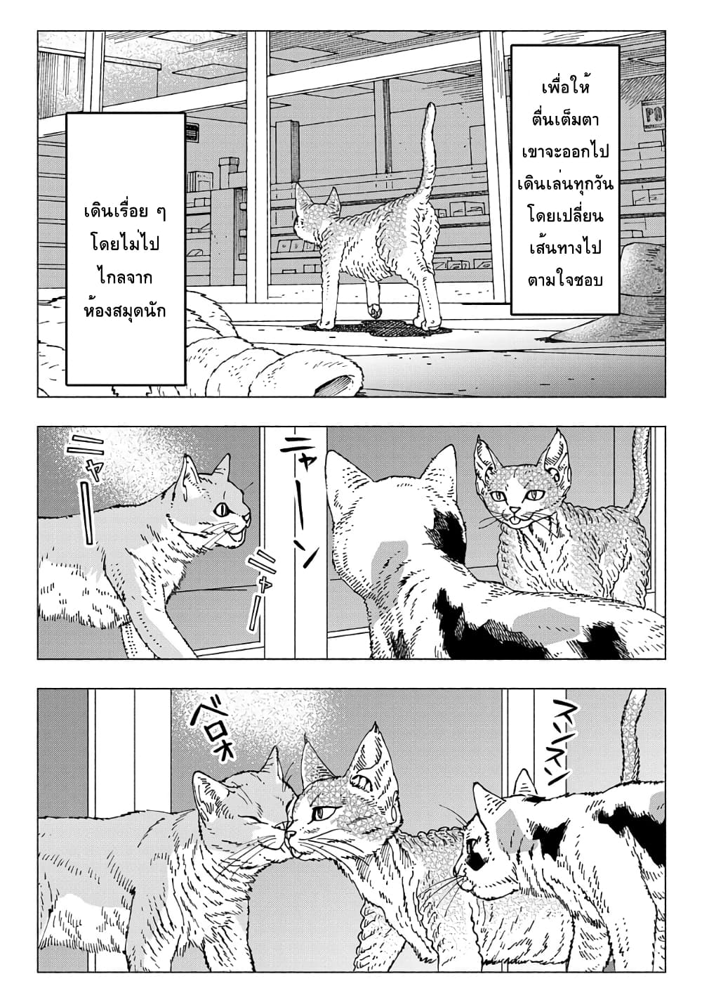 Nyaight of the Living Cat ตอนที่ 9.1 (3)