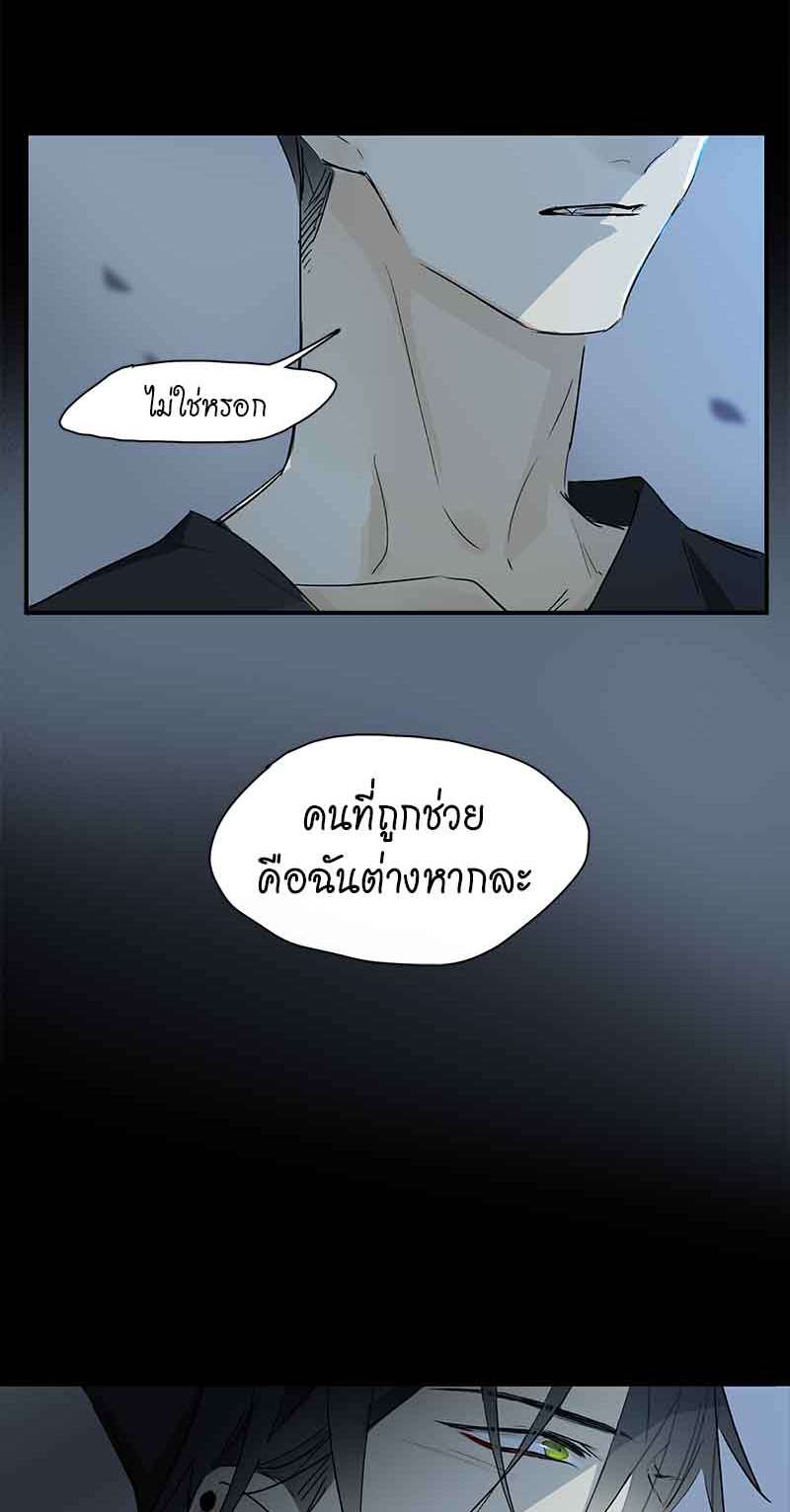 กฎรักแห่งออกัส33 35