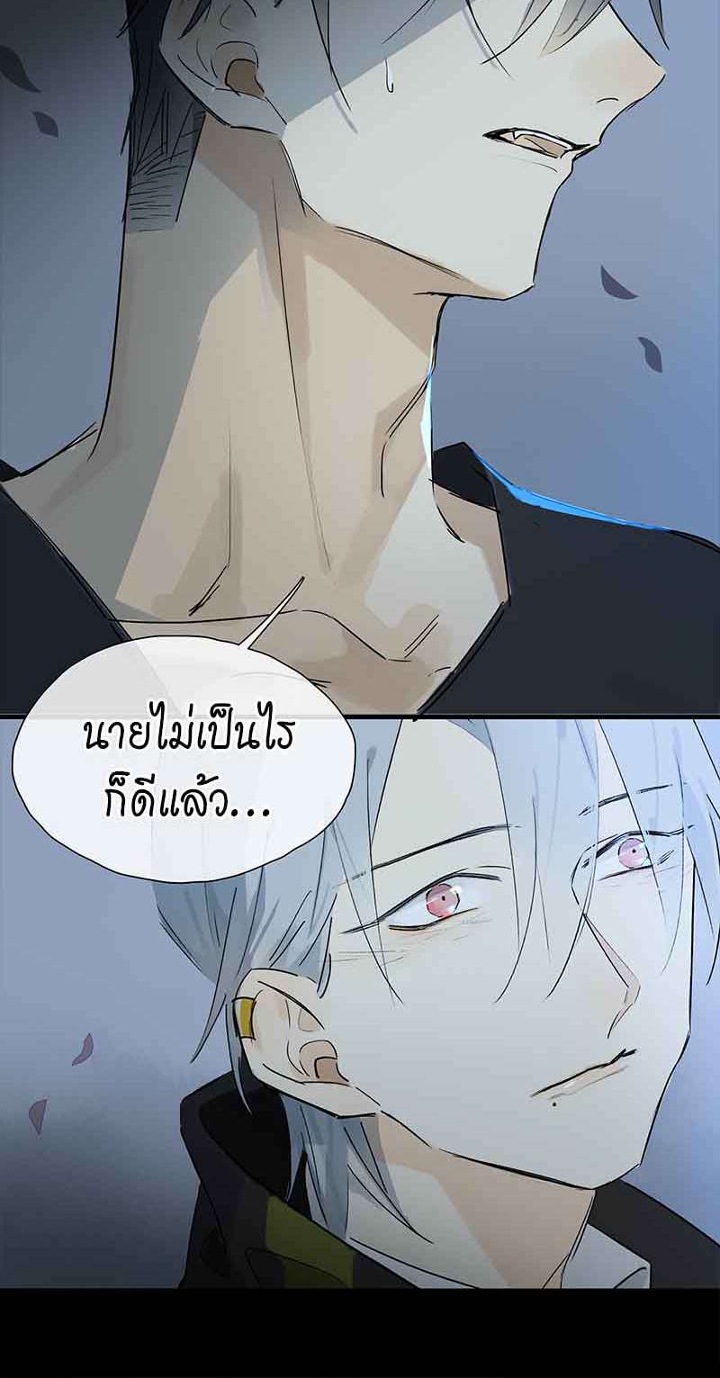 กฎรักแห่งออกัส33 36