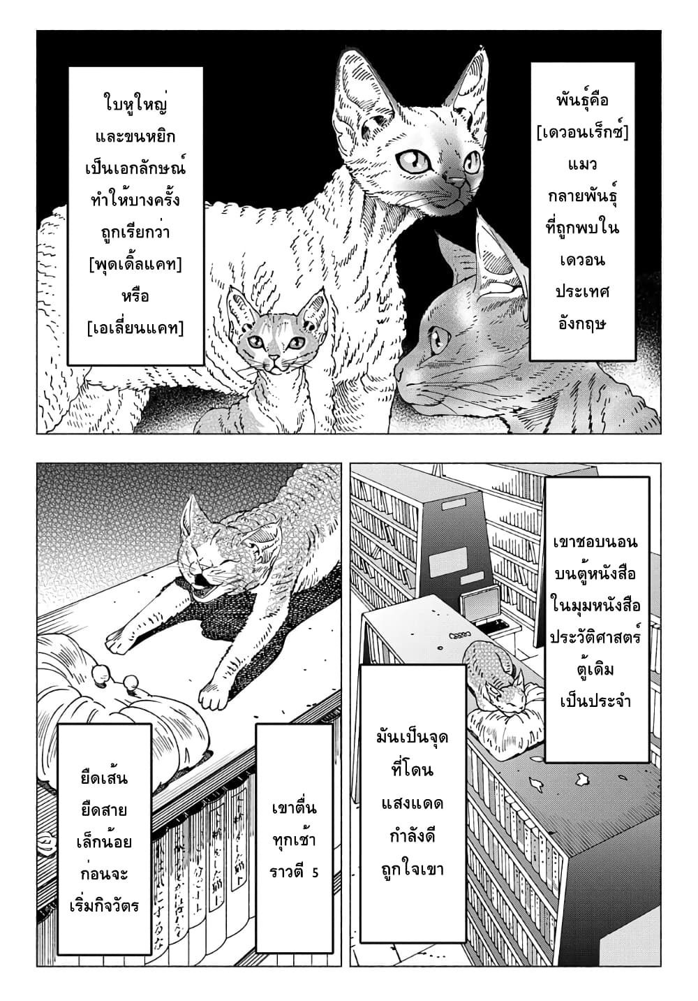 Nyaight of the Living Cat ตอนที่ 9.1 (2)